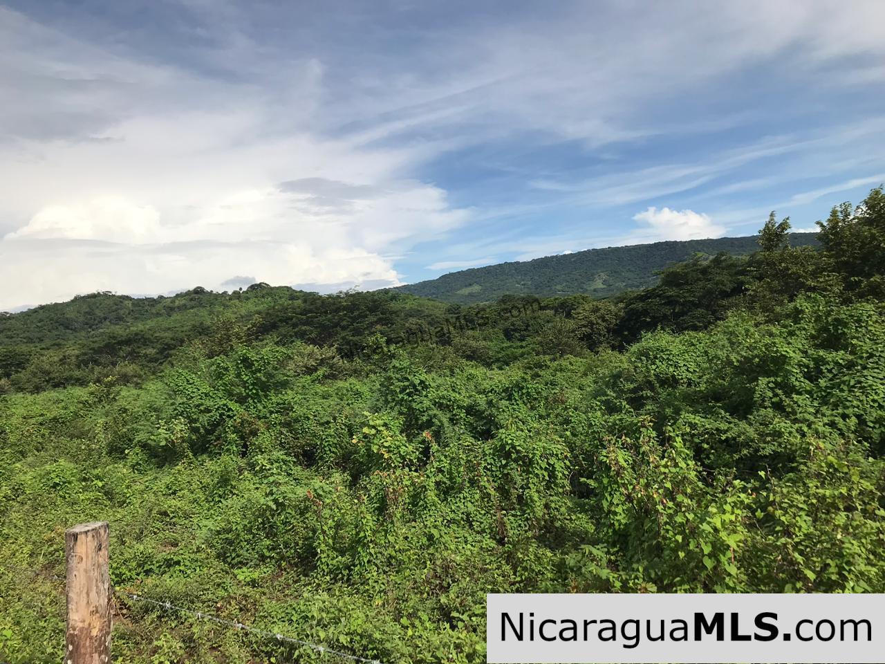 Flat Two Manzana Lot with Great Potential in Las Delicias - Image 5