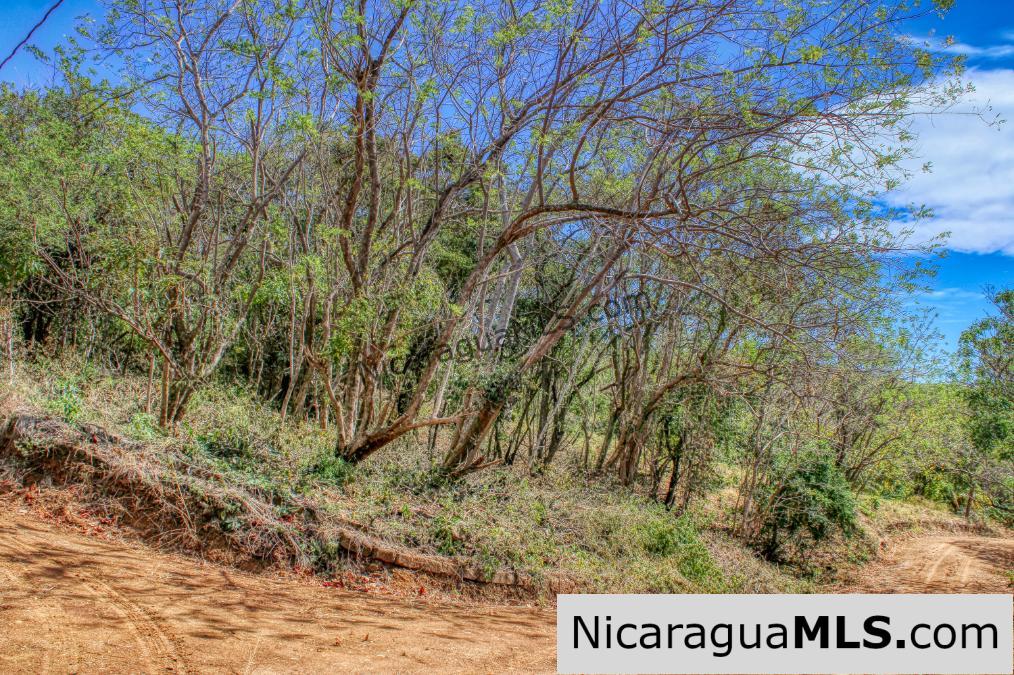 SOLD - Half Acre Lot Luxury Life Development Tree Casa FIRE SALE - Image 6