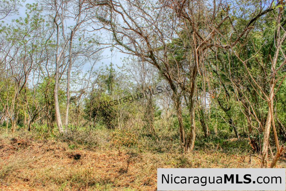 SOLD - Half Acre Lot Luxury Life Development Tree Casa FIRE SALE - Image 8