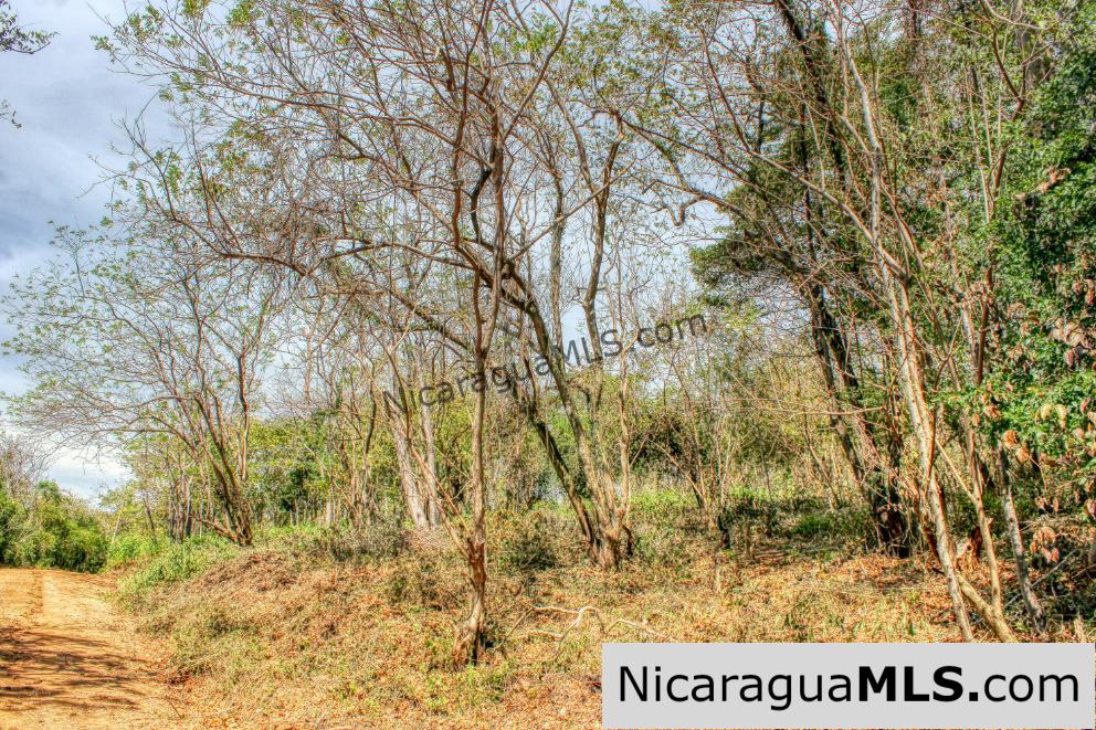 SOLD - Half Acre Lot Luxury Life Development Tree Casa FIRE SALE - Image 10