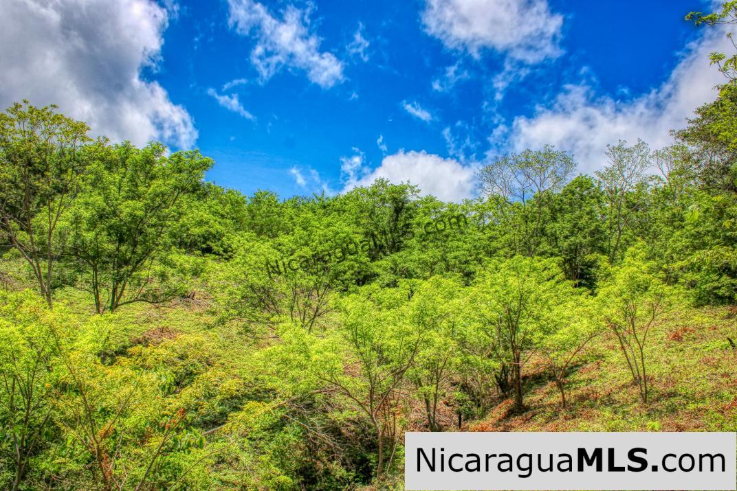 REDUCED! Arriba Verde, El Carrizal San Juan del Sur - Image 3