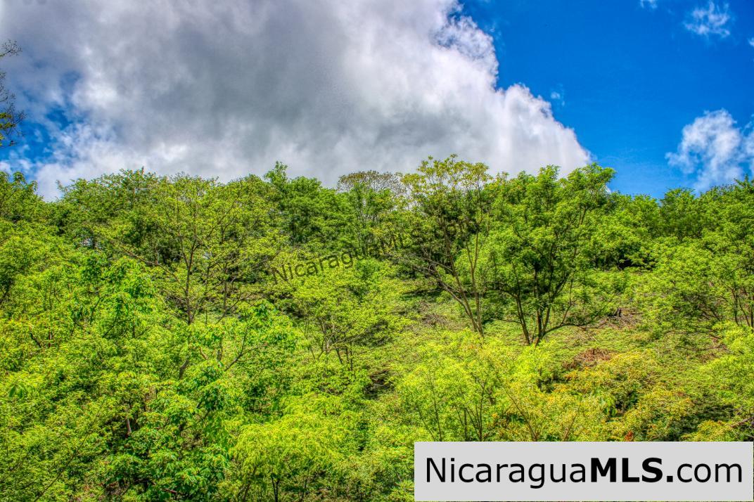 REDUCED! Arriba Verde, El Carrizal San Juan del Sur - Image 4