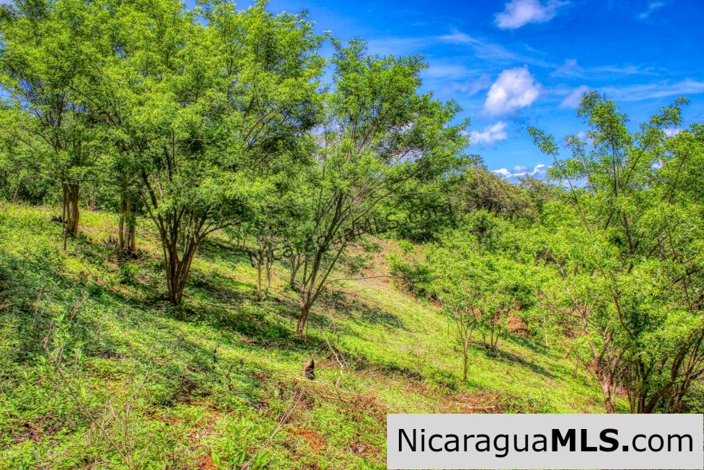REDUCED! Arriba Verde, El Carrizal San Juan del Sur - Image 8
