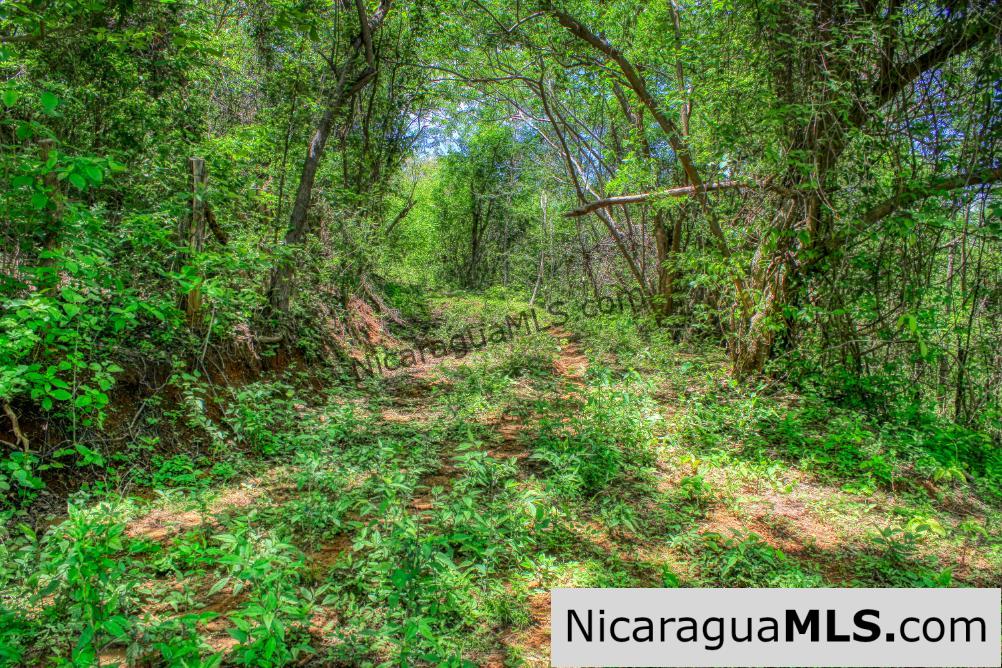 REDUCED! Arriba Verde, El Carrizal San Juan del Sur - Image 9