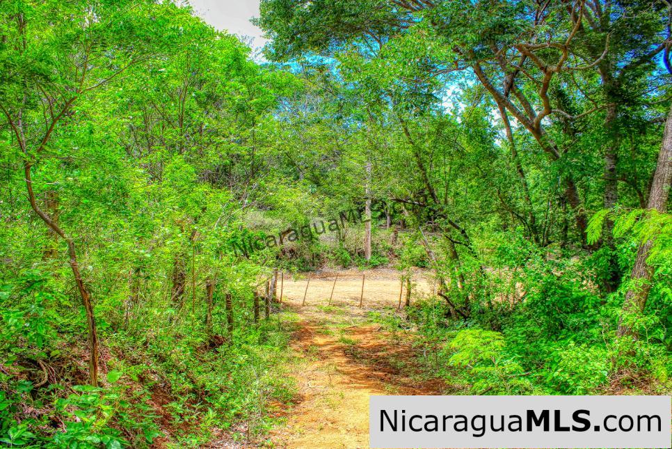 REDUCED! Arriba Verde, El Carrizal San Juan del Sur - Image 10