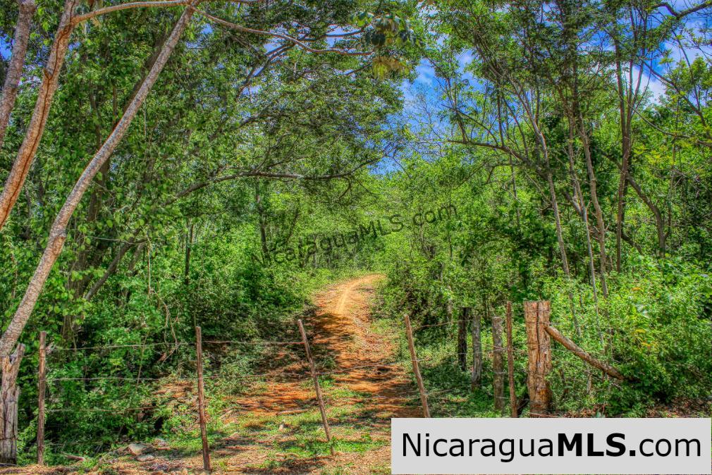 REDUCED! Arriba Verde, El Carrizal San Juan del Sur - Image 11