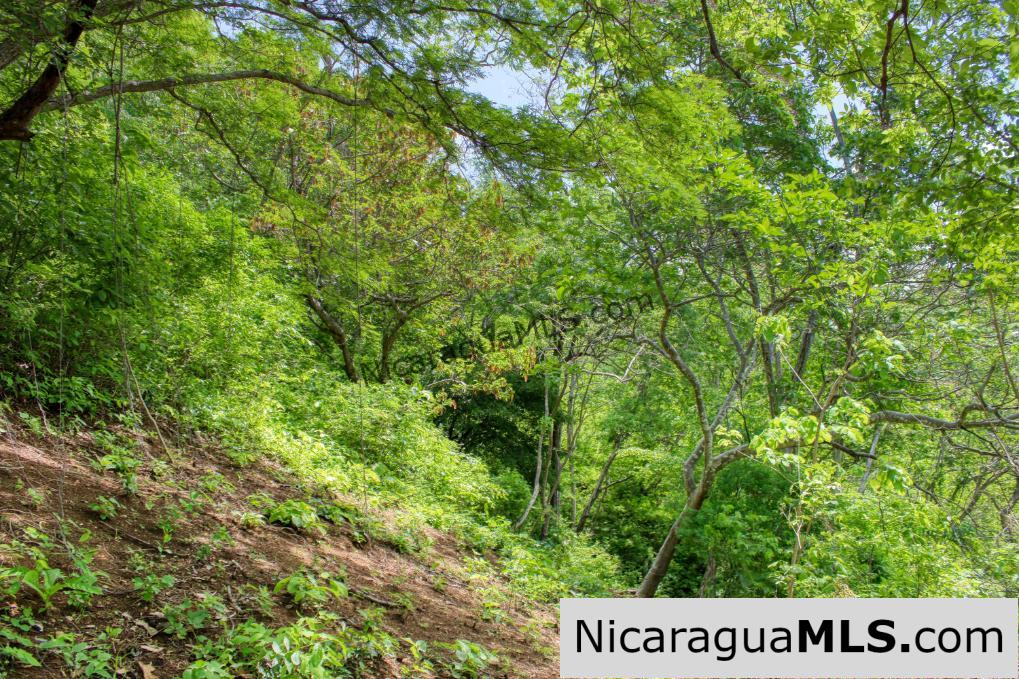 Lot 83 Paradise Bay in San Juan del Sur Nicaragua - Image 12