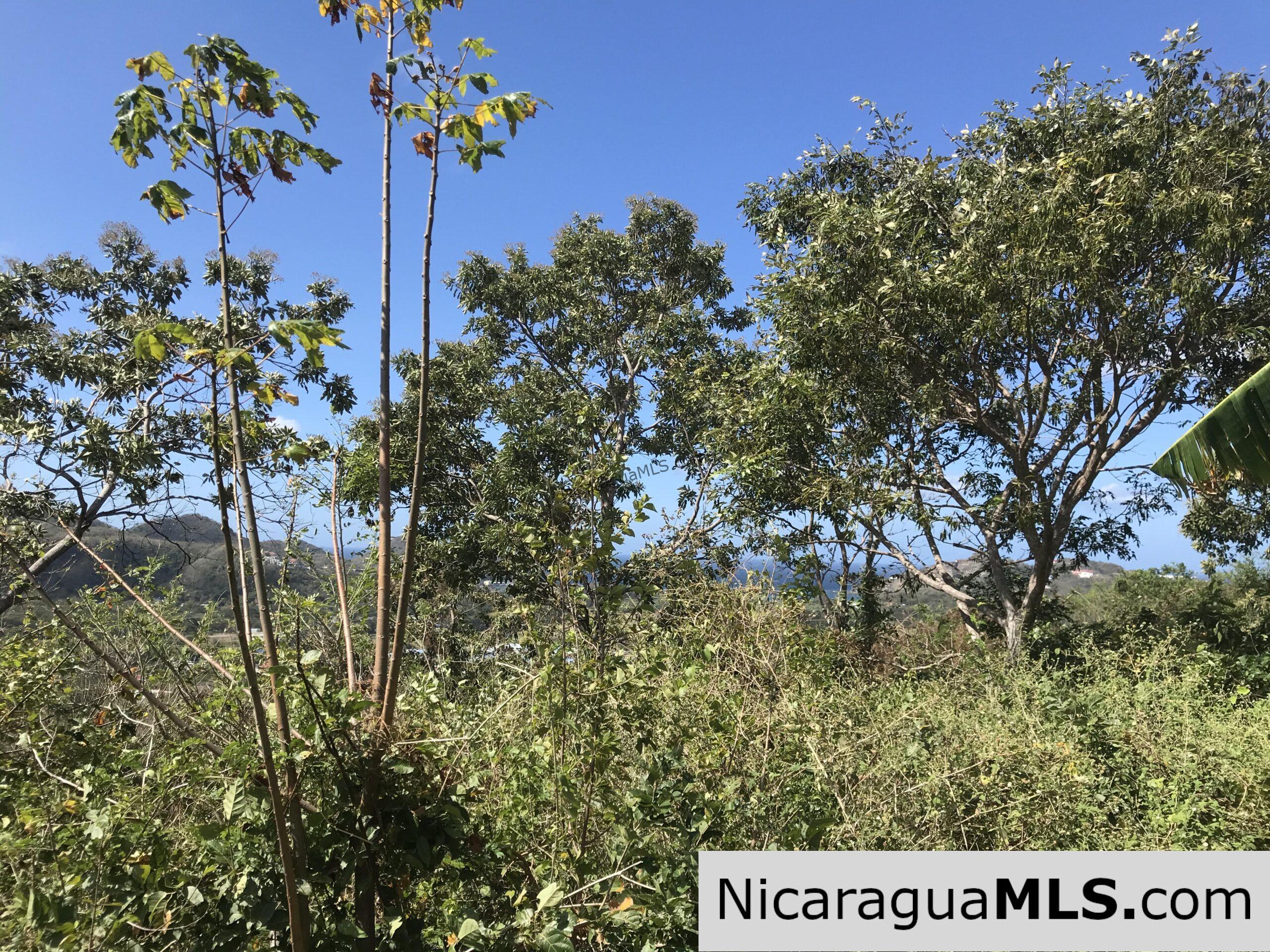 Las Escaleras Lot 9 - Image 10
