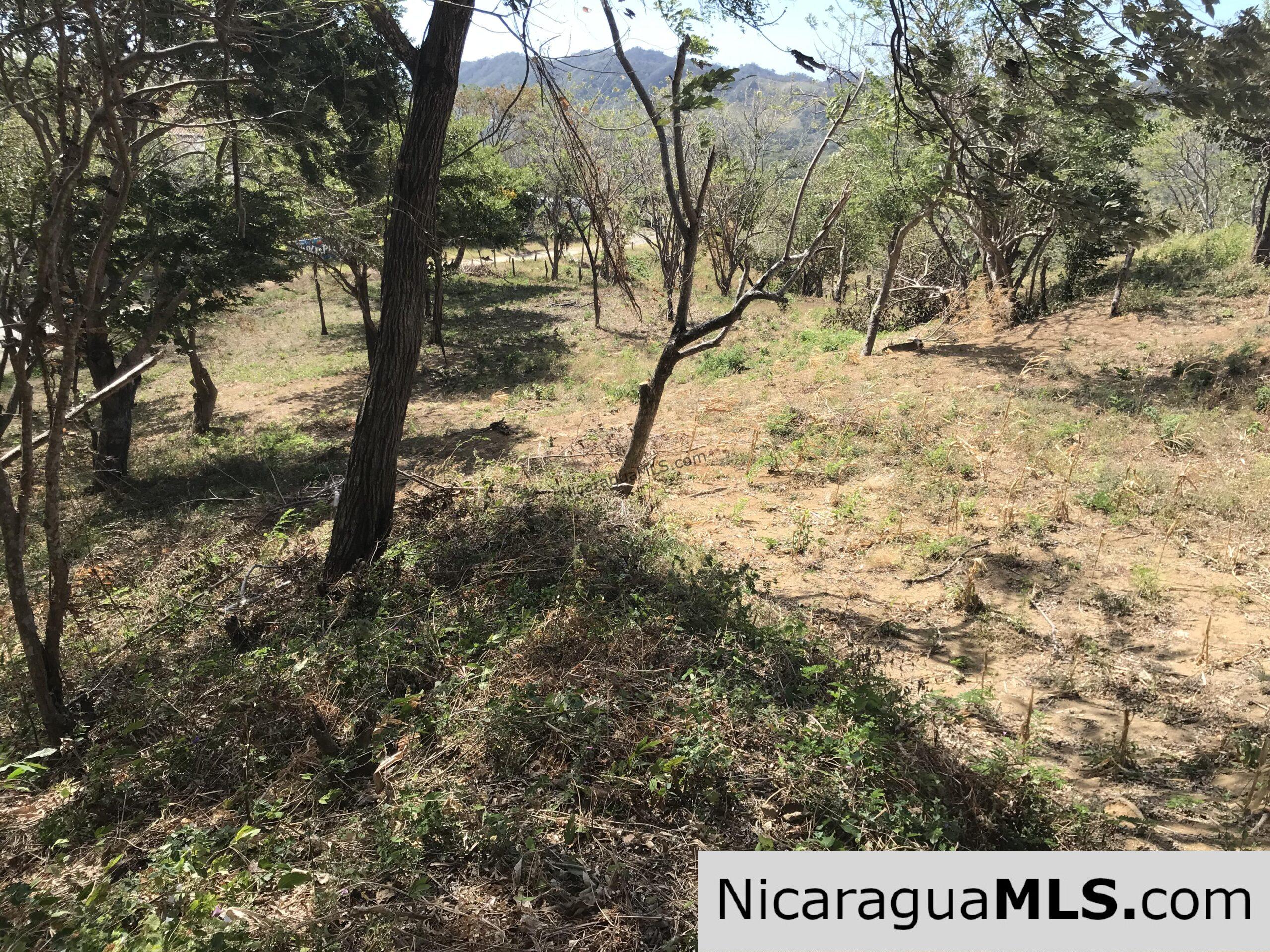 Las Escaleras Lot 9 - Image 12
