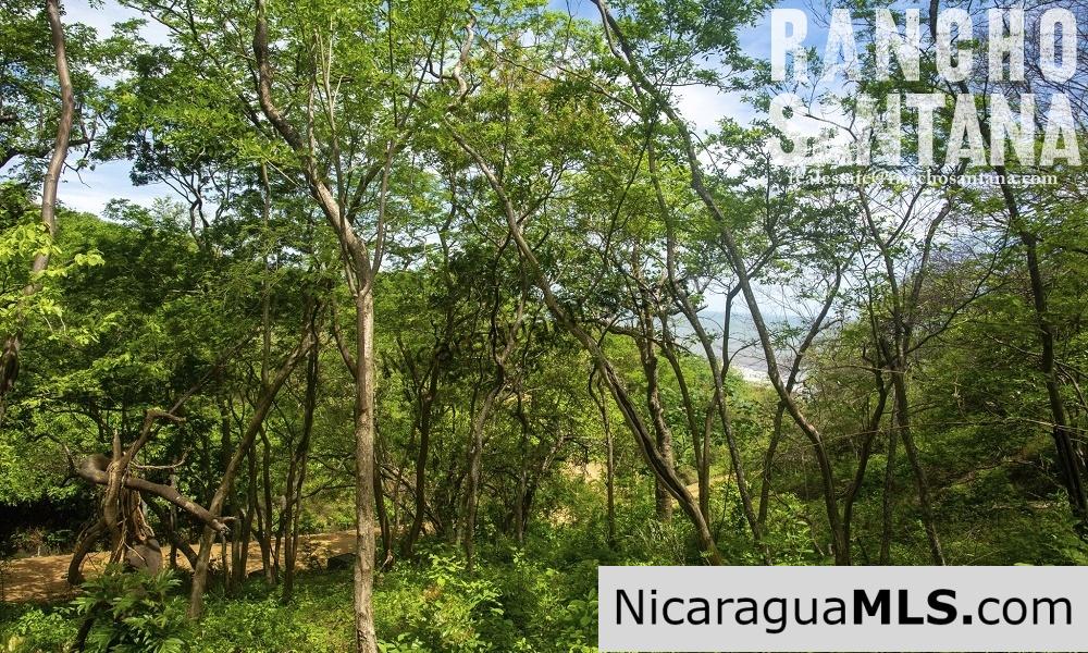 Reduced Price Land at Rancho Santana with Easy Beach Access - Image 5