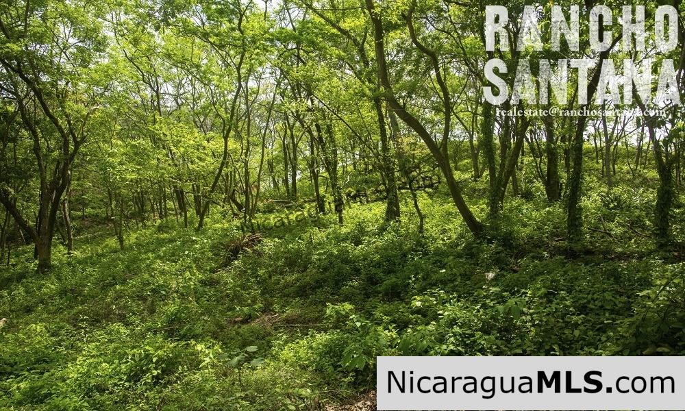 Reduced Price Land at Rancho Santana with Easy Beach Access - Image 6