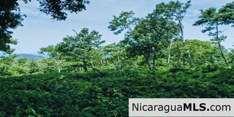 Las Mesas Lots Available in El Encanto del Sur Development, San Juan del Sur-Nicaragua - Image 4