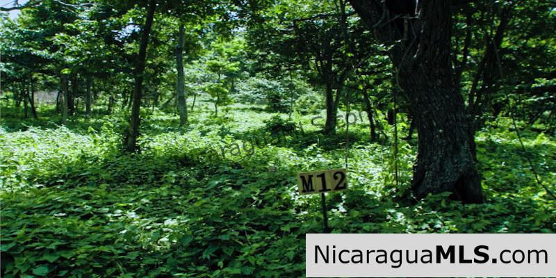 Las Mesas Lots Available in El Encanto del Sur Development, San Juan del Sur-Nicaragua - Image 6