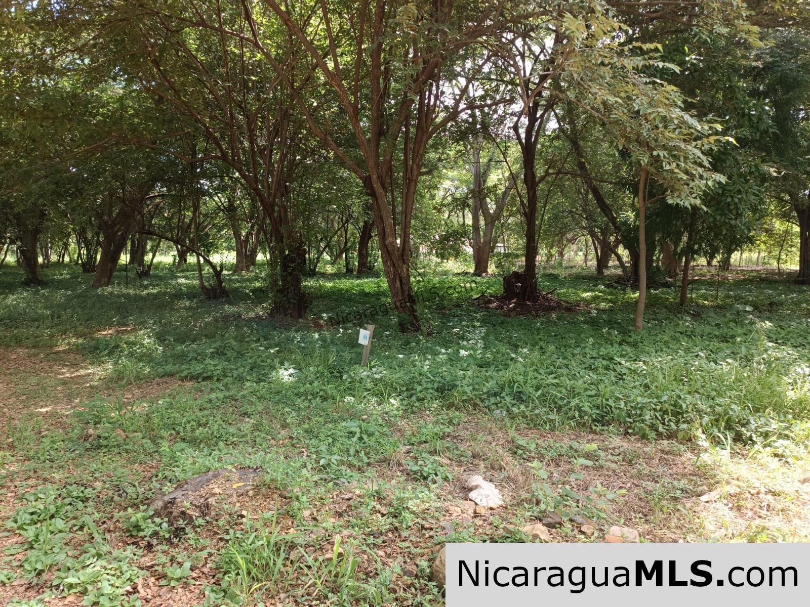 Resale Lot B15 in Bosques del Mar - Image 5