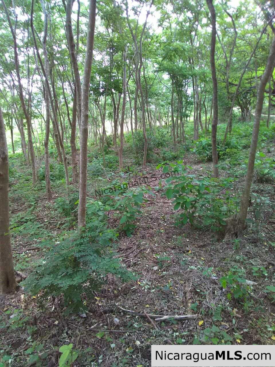 580 acres in el Valle, San Juan del Sur - Image 7