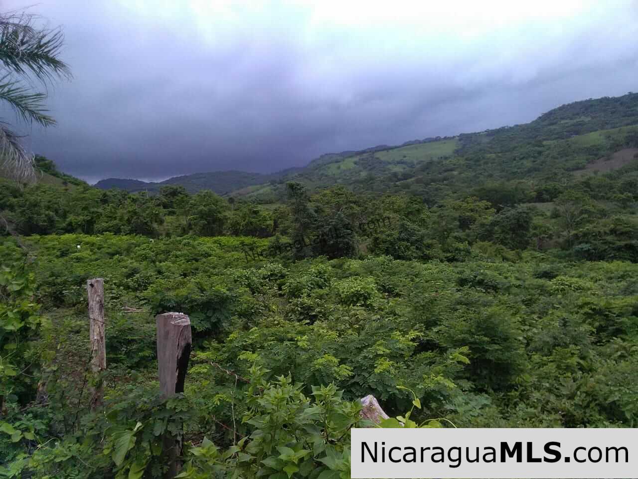 580 acres in el Valle, San Juan del Sur - Image 5