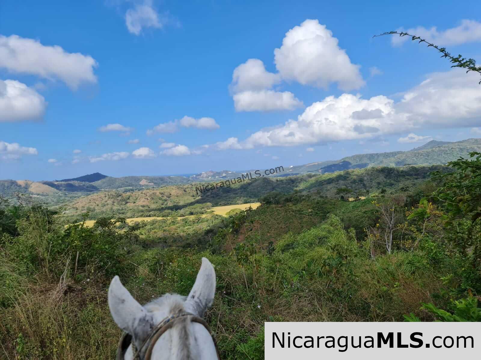 580 acres in el Valle, San Juan del Sur - Image 3