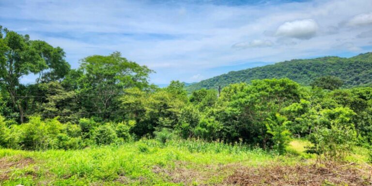 Fire Sale Alert: Spacious Lots with Ocean & Mountain Views in San Juan del Sur at Half Price!