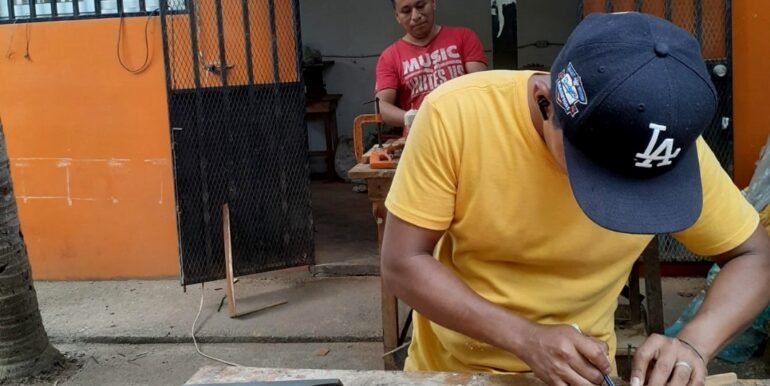 A Home, 100+ Fruit Trees, PLUS a profitable Ukulele Business? - Image 2