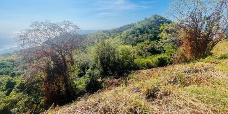 Paradise Bay Panoramic Ocean View 1/2+ Acre Lot - Image 2