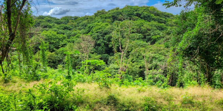 75 Acres of Mountain Forest in San Juan del Sur - Image 2