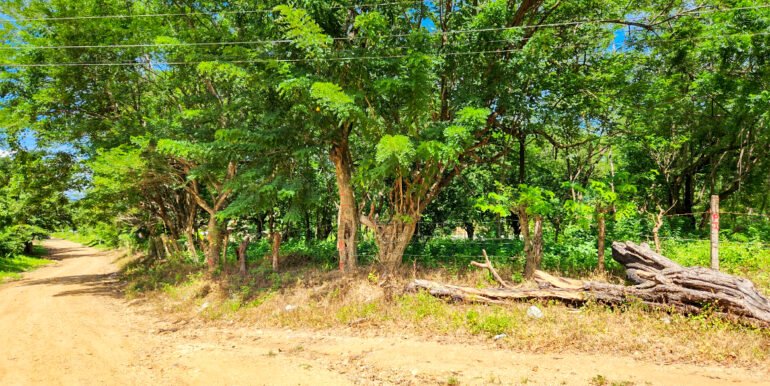 Prime Development Land, Remanso, on the New Coastal Highway - Image 2