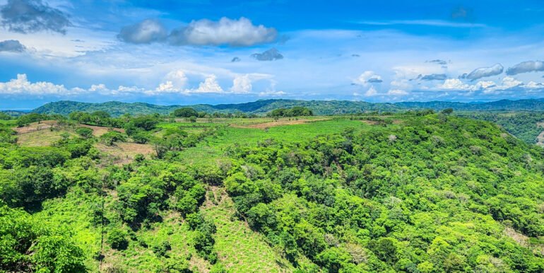 SOLD - 12 Acres Ocean View, Peaceful Hills! - Image 2