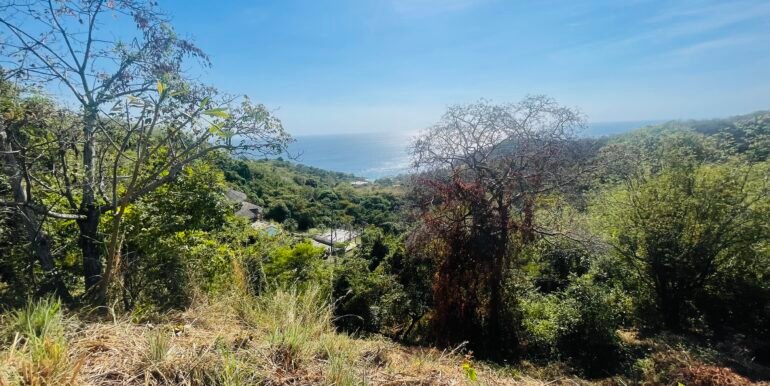 Paradise Bay Panoramic Ocean View 1/2+ Acre Lot - Image 3