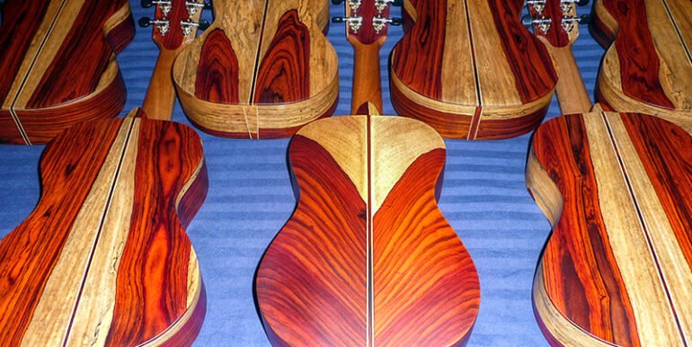 A Home, 100+ Fruit Trees, PLUS a profitable Ukulele Business? - Image 3