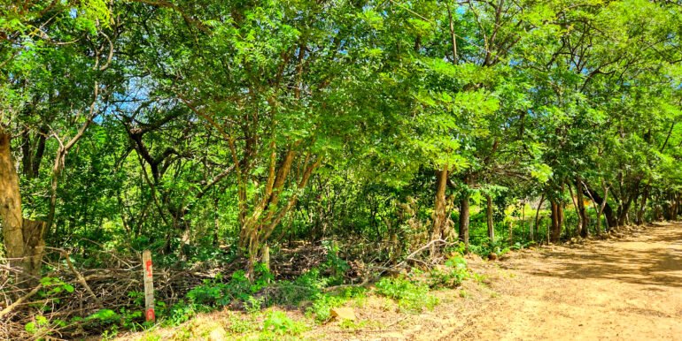 Road to Remanso: Future site of your commercial or residential project. - Image 3