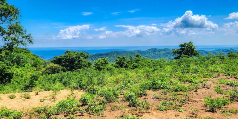 SOLD - 12 Acres Ocean View, Peaceful Hills! - Image 3