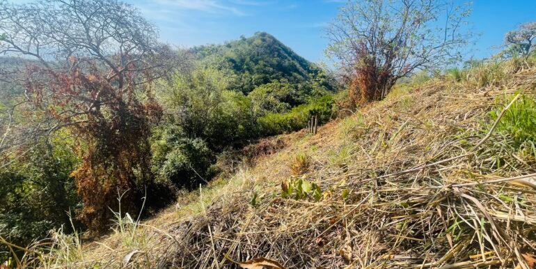 Paradise Bay Panoramic Ocean View 1/2+ Acre Lot - Image 4