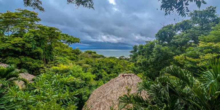 The Entrepreneurial Lifestyle Awaits at Playa Maderas - Image 4