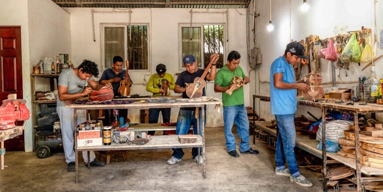 A Home, 100+ Fruit Trees, PLUS a profitable Ukulele Business? - Image 4