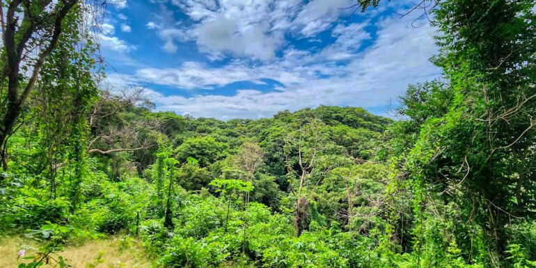75 Acres of Mountain Forest in San Juan del Sur - Image 4