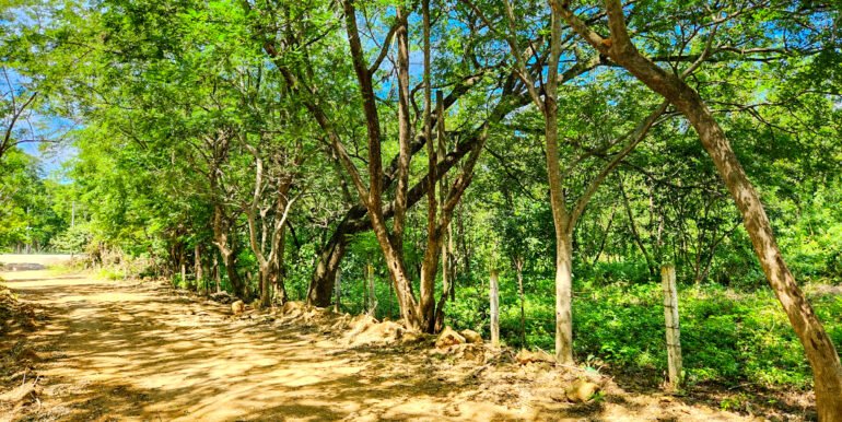 Road to Remanso: Future site of your commercial or residential project. - Image 4
