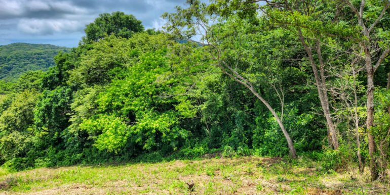 Ocean View Vacant Lot in Villas Oro Lot 12 - Image 4