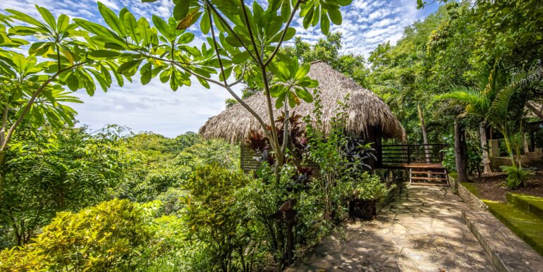 The Entrepreneurial Lifestyle Awaits at Playa Maderas - Image 5