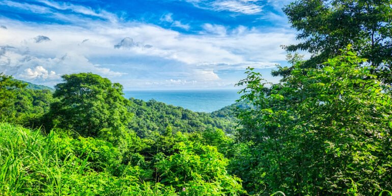 Spectacular Ocean View Lot, Paradise Bay, San Juan del Sur - Image 5