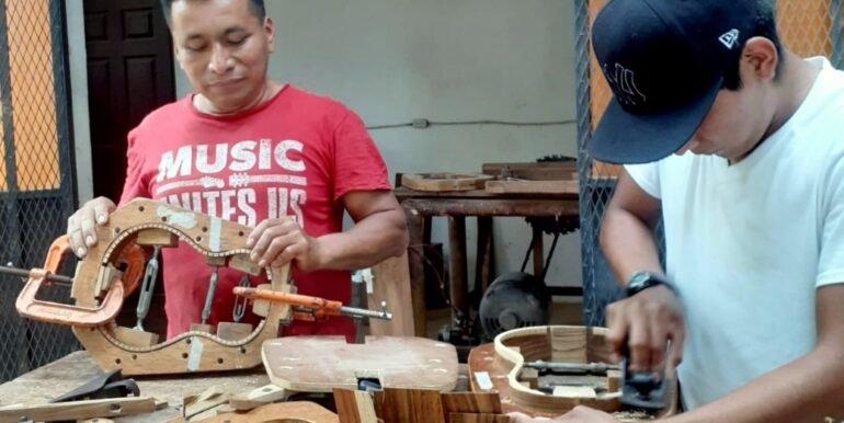 A Home, 100+ Fruit Trees, PLUS a profitable Ukulele Business? - Image 6