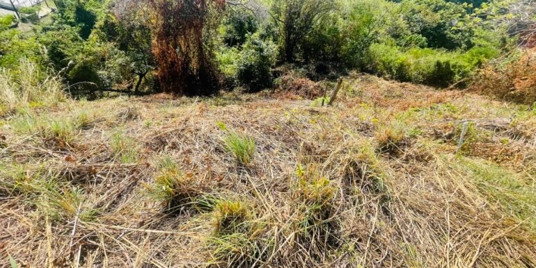 Paradise Bay Panoramic Ocean View 1/2+ Acre Lot - Image 6