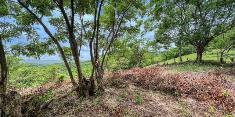 Natural Paradise Views @ Arriba Verde Lot 29 - Image 6