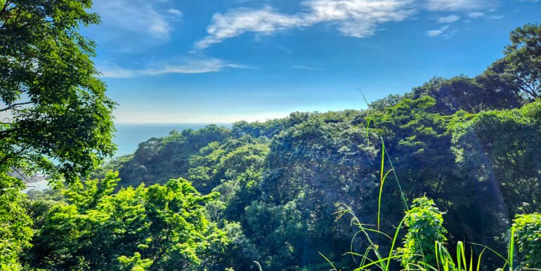 Spectacular Ocean View Lot, Paradise Bay, San Juan del Sur - Image 6