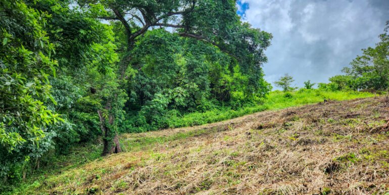 Ocean View Vacant Lot in Villas Oro Lot 12 - Image 6