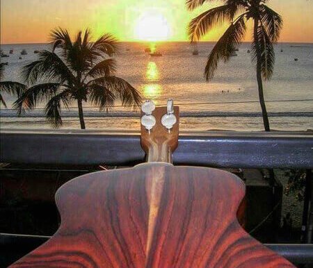 A Home, 100+ Fruit Trees, PLUS a profitable Ukulele Business? - Image 7