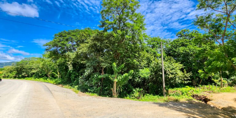 Road to Remanso: Future site of your commercial or residential project. - Image 7