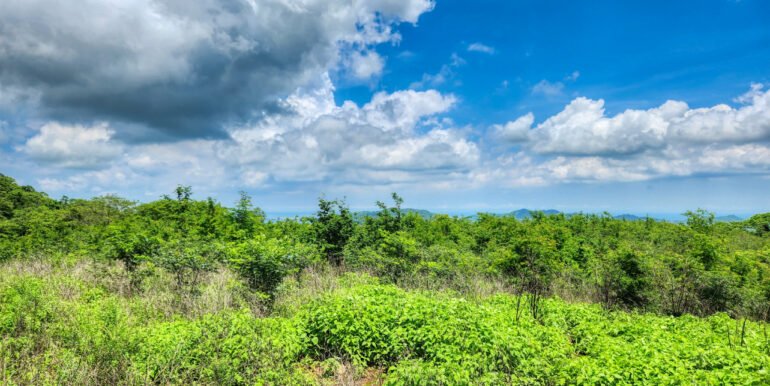 SOLD - 12 Acres Ocean View, Peaceful Hills! - Image 7