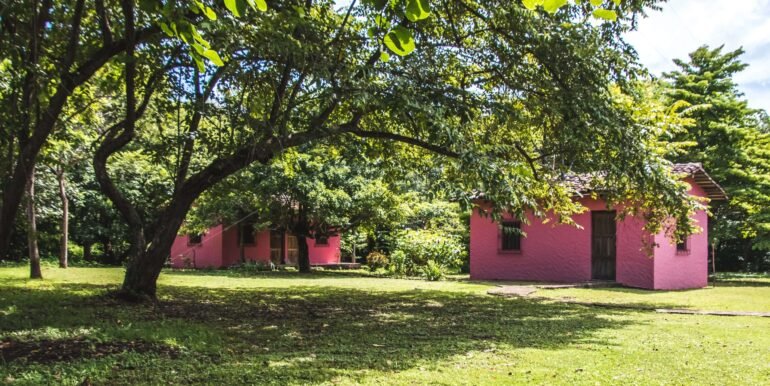 Traditional Spanish Hacienda set on 5 acres - Image 8