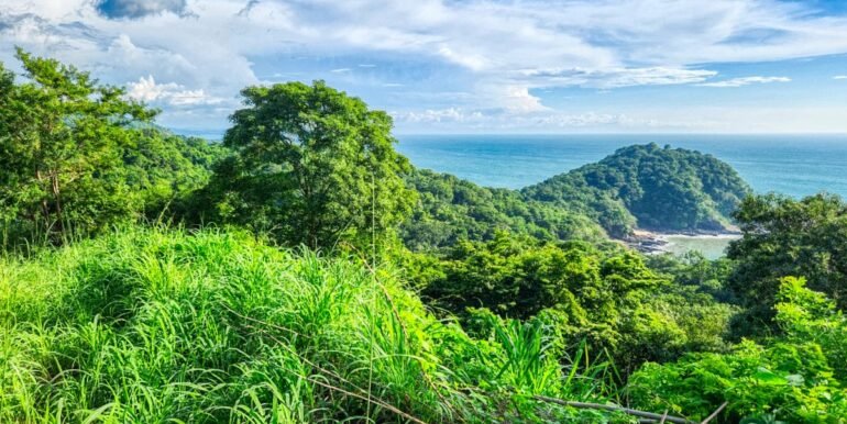 Spectacular Ocean View Lot, Paradise Bay, San Juan del Sur - Image 8