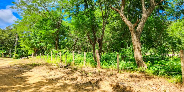 Prime Development Land, Remanso, on the New Coastal Highway - Image 8